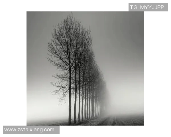 亚当斯的传奇人生与影响力探讨：从个人成就到社会变革的深远影响