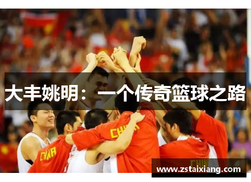 大丰姚明：一个传奇篮球之路