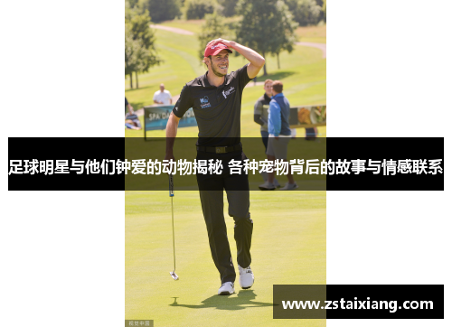 足球明星与他们钟爱的动物揭秘 各种宠物背后的故事与情感联系