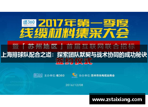 上海排球队配合之道：探索团队默契与战术协同的成功秘诀